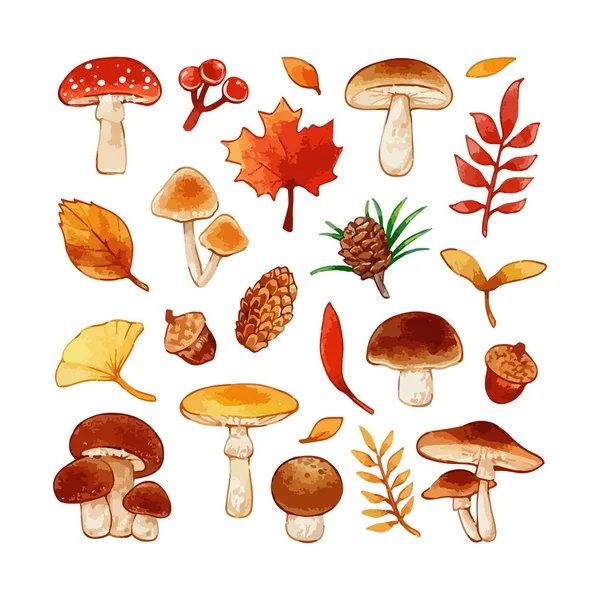 水彩画風の秋の自然要素のベクトルイラストセット — ストックベクタ