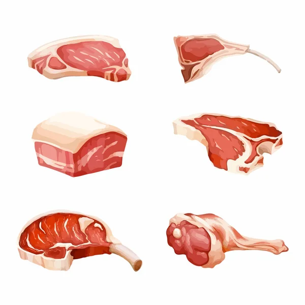 Verse Rauwe Vleesvector Illustratie — Stockvector