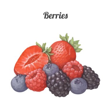 El yapımı suluboya böğürtlenler. Kiraz, ahududu, çilek, yabanmersini. Menü ve tarif tasarımı için beyaz arkaplan üzerindeki izole nesneler.