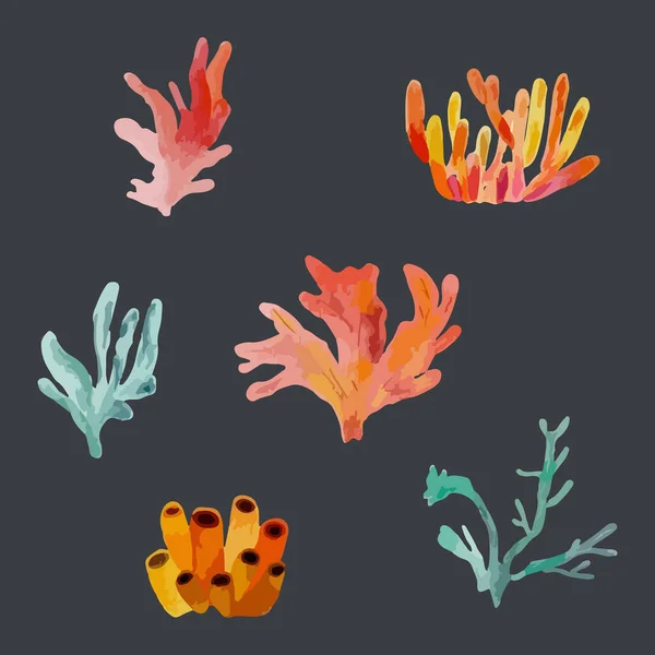 Kleurrijke Koralen Handgetekende Aquarel Vector Illustratie — Stockvector