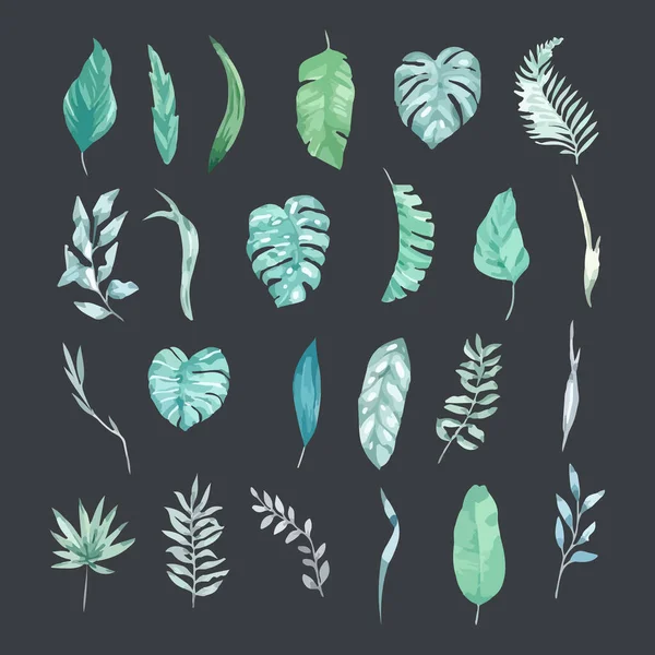 Set Von Laub Elementen Handgezeichnete Aquarell Vektorillustration — Stockvektor