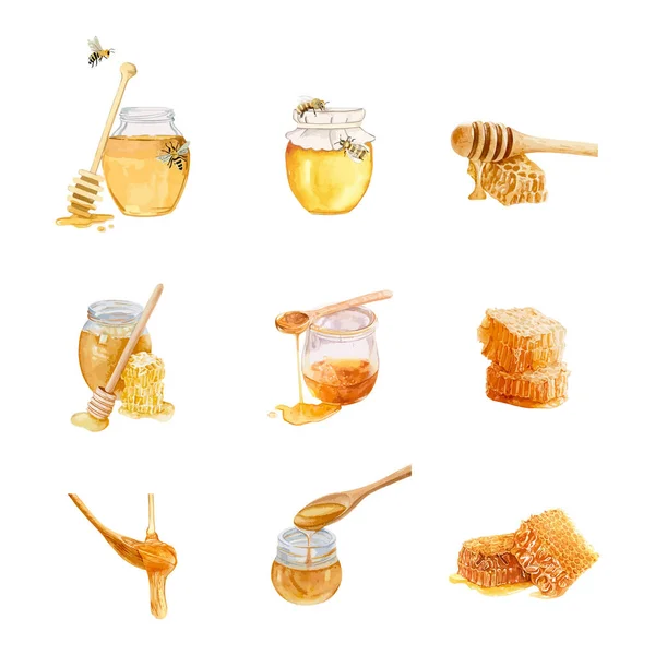 水彩の蜂蜜の要素のセット 手描き水彩ベクトルイラスト — ストックベクタ