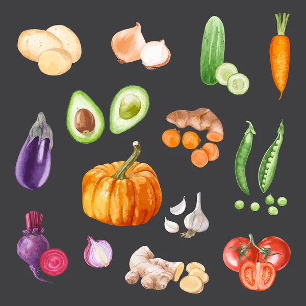 Aquarell Gemalte Sammlung Von Gemüse Hand Gezeichnete Frische Lebensmittel Design — Stockvektor