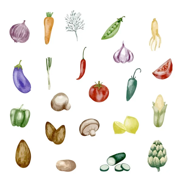 Set Aquarell Gemüse Vorhanden Vorlage Für Design Handgezeichnete Vektorillustration — Stockvektor