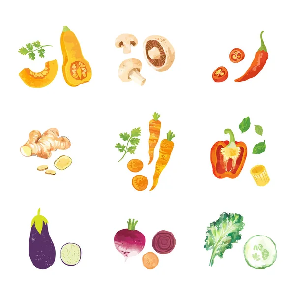 Σετ Νερομπογιάς Λαχανικών Πρότυπο Σχεδιασμού Εικονογράφηση Διανύσματος — Διανυσματικό Αρχείο