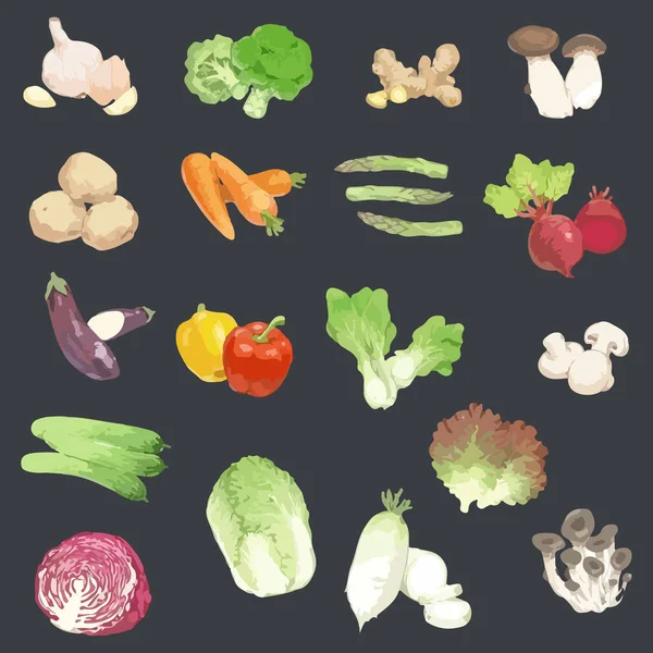 Set Aquarell Gemüse Vorhanden Vorlage Für Design Handgezeichnete Vektorillustration — Stockvektor