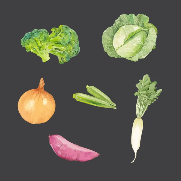 Set Aquarell Gemüse Vorhanden Vorlage Für Design Vektorillustration — Stockvektor