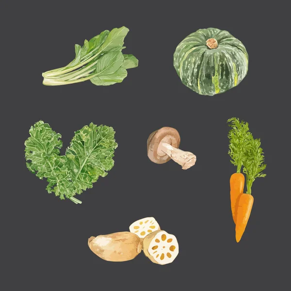 Set Aquarell Gemüse Vorhanden Vorlage Für Design Vektorillustration — Stockvektor