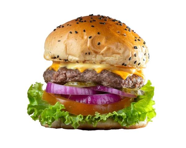 Leckere Burger Isoliert Auf Weißem Hintergrund — Stockfoto