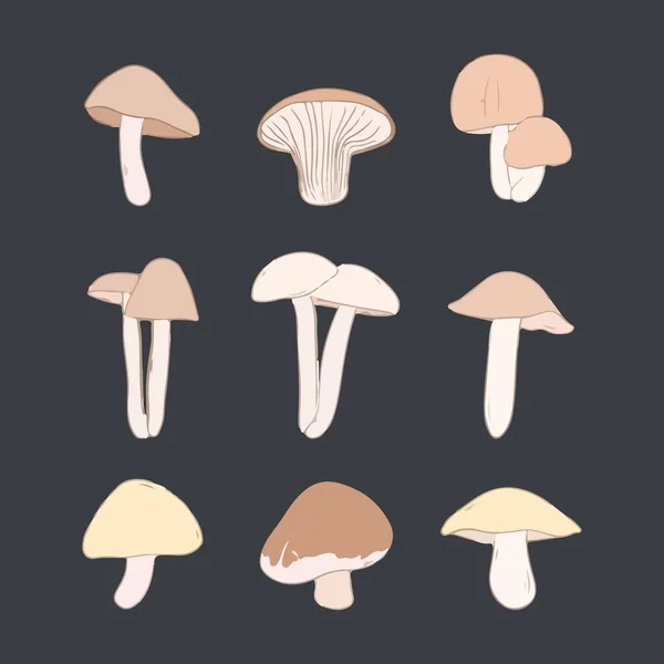Set Funghi Disegnati Mano Acquerello Vettoriale Illustrazione — Vettoriale Stock