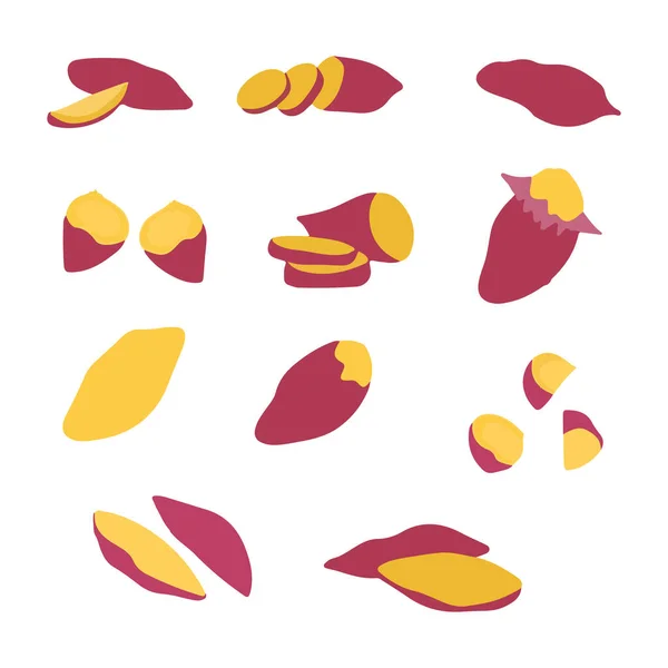 白裏名詞に単離された紫色のサツマイモのベクトルカラフルなセット 赤い肌のバタタやヤム ポスター ウェブサイト パンフレット タグに使用される漫画の野菜 — ストックベクタ