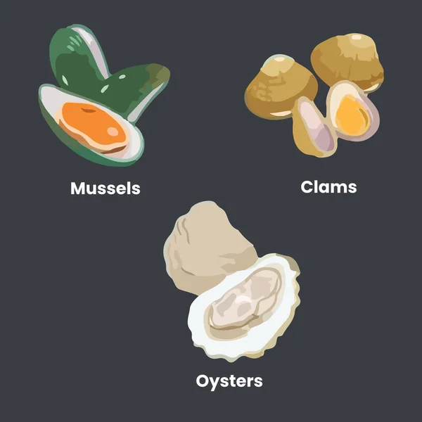 Mussels Clams Oysters의 손으로 수채화 일러스트 — 스톡 벡터