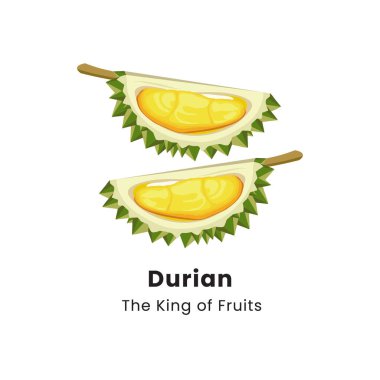 Beyaz arkaplanda Durian meyvesinin vektör illüstrasyonu