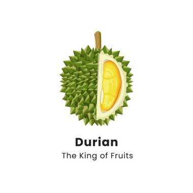 Beyaz arkaplanda Durian meyvesinin vektör illüstrasyonu