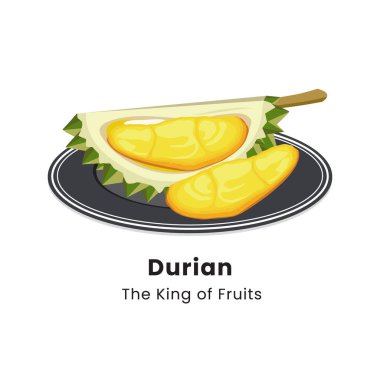 Beyaz arkaplanda Durian meyvesinin vektör illüstrasyonu
