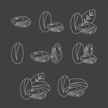 Beyaz arka planda fıstıkların vektör çizimi