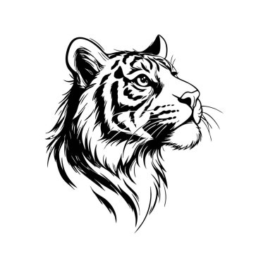 Ayrıntılı Çizgi Sanatında Kükreyen Kaplan Surat