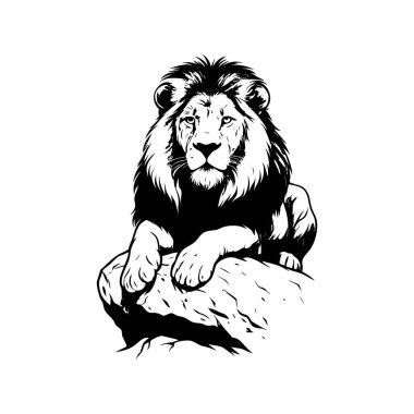 Güçlü Erkek Aslan ve Mane Kaya 'da Rahatlıyor