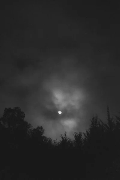Black White Photo Beautiful Night Sky — Stock Photo, Image