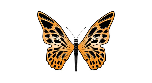 蝶のベクトル イラスト — ストック写真