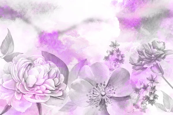 Beautiful Botanical Illustration Background — Stock Photo, Image