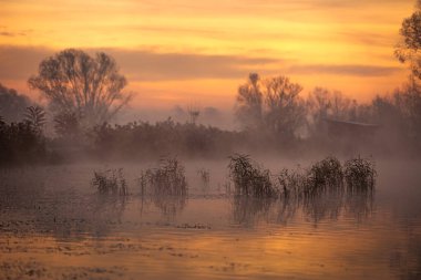 Sonbahar, gölün üzerinde sisli bir sabah. Sonbahar manzarası.