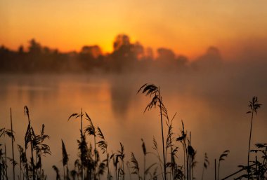 Gölün üzerinde sisli bir bahar sabahı, gün doğumu. Duvar kağıdı, dekorasyon.