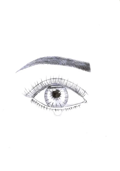 Female eye with false eyelashes on white background. Hand-drawn illustration.