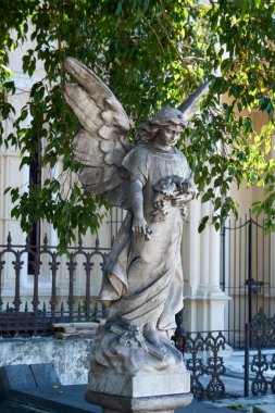   Coln Mezarlığı Küba Ulusal Anıtı ilan edilmiştir. Ülke, 57 hektarlık arazisiyle ülkedeki en önemli mezarlık konumunda bulunuyor..                                             