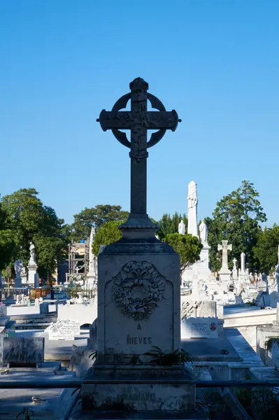   Coln Mezarlığı Küba Ulusal Anıtı ilan edilmiştir. Ülke, 57 hektarlık arazisiyle ülkedeki en önemli mezarlık konumunda bulunuyor..                                             