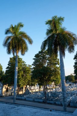 Kolon Cenaze Anıtı. Küba Ulusal Anıtı. Dünyanın en büyük mezarlıklarından biri.                               