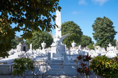 Kolon Cenaze Anıtı. Küba Ulusal Anıtı. Dünyanın en büyük mezarlıklarından biri.                               