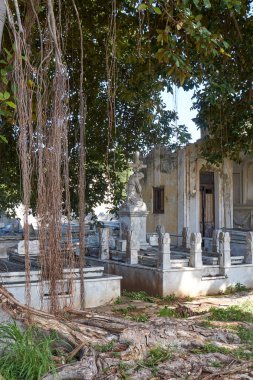  Kolon Cenaze Anıtı. Küba Ulusal Anıtı. Dünyanın en büyük mezarlıklarından biri.                             