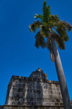 Kolon Cenaze Anıtı. Küba Ulusal Anıtı. Dünyanın en büyük mezarlıklarından biri.                               