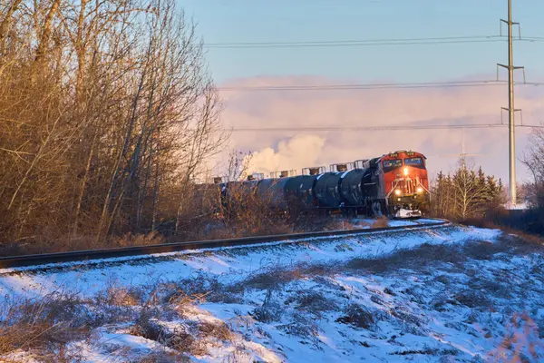 Bu fotoğraf seansının buzlu güzelliğine dalın, tren kış sahnelerinde yol alırken, geride saf görsel şiirin görüntülerini bırakarak..                               