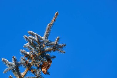 Kış mevsiminin dinginliğini ve ihtişamını ölümsüzleştiren bu fotoğraf koleksiyonu vasıtasıyla kışın büyüsünü keşfedin. Her resim eşsiz bir hikaye anlatıyor, zamanda donup kalmış.                               