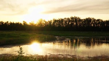 Altın renkli bir göl güneş batmadan dakikalar önce parlar, bitki örtüsünü ve sudaki yumuşak dalgaları yansıtır. Sıcaklık ve doğal güzelliklerle dolu sakin, atmosferik bir sahne..