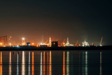 Bitkinin gece manzarası