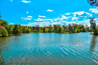Nehrin ve ormanın güzel manzarası