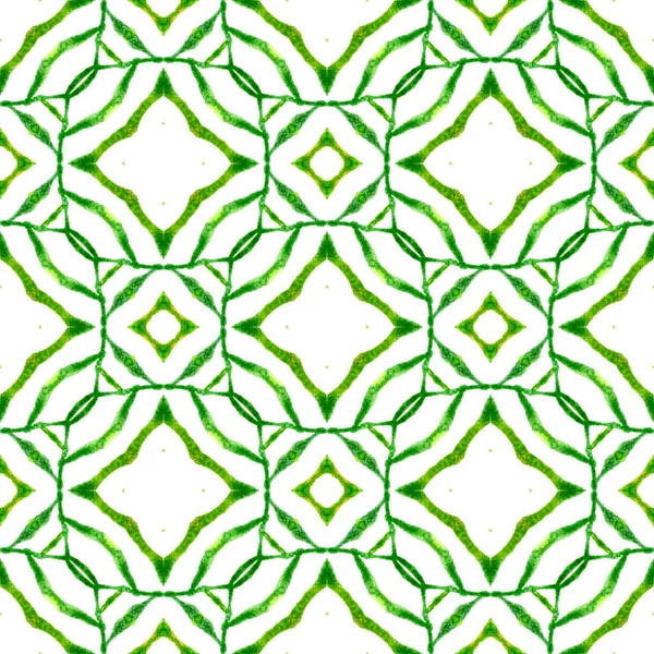 メダリオンのシームレスなパターン 緑の貴重なBohoシックな夏のデザイン 水彩メダリオンシームレスな境界線 繊維準備ができたファンシープリント 水着生地 — ストック写真
