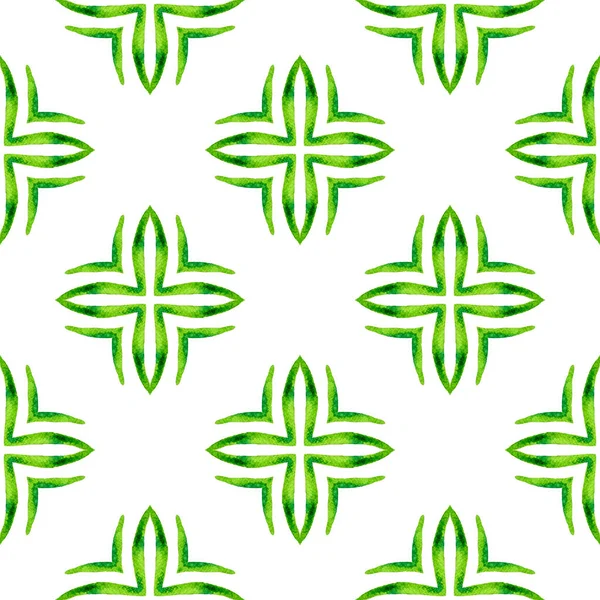 Padrão Fronteira Étnica Verão Aquarela Verde Magnífico Boho Design Chique — Fotografia de Stock