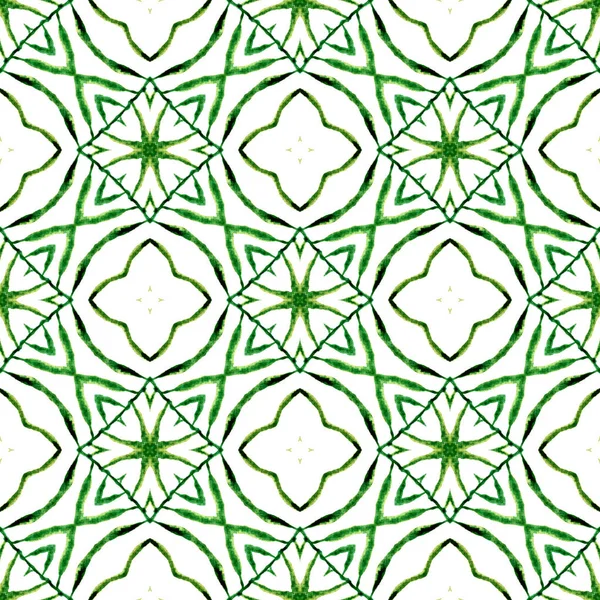 Watercolor Ikat Repetindo Borda Telha Verde Encantador Boho Design Chique — Fotografia de Stock