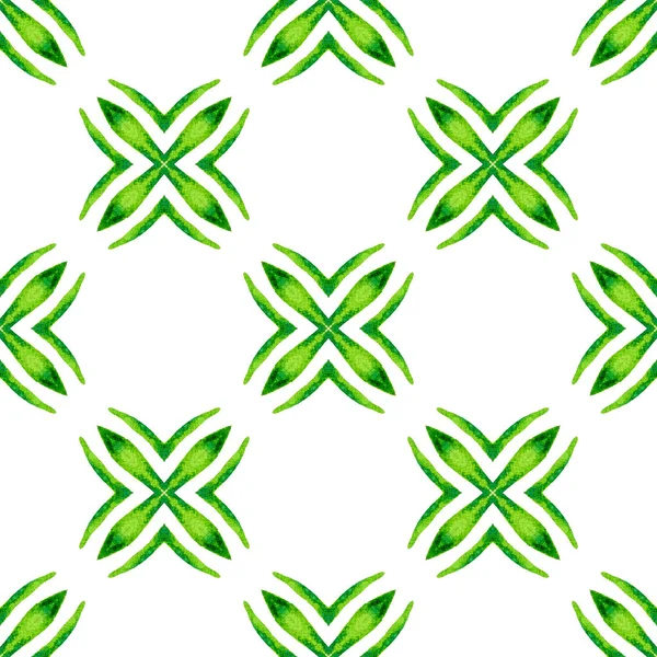Акварельний Медальйон Безшовний Кордон Зелений Екстатичний Бухо Шикарний Літній Дизайн — стокове фото