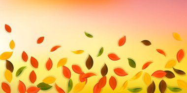 Sonbahar yaprakları dökülüyor. Kırmızı, sarı, yeşil, kahverengi, temiz yapraklar uçuşuyor. Hayret verici beyaz arka planda yağan yağışlı renkli yapraklar. Okul satışına geri dönmek çok güzel..