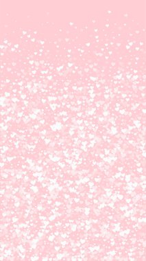 Düşen kalpler sevgililer günü kartı şablonu. Beyaz kalpler pembe arka plana saçılmış. Kaotik düşen kalpler vektör illüstrasyonu.