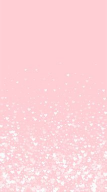 Serpiştirilmiş kalpler sevgililer günü şablonu. Beyaz kalpler pembe arka plana saçılmış. Kutlama serpiştirilmiş kalp vektör illüstrasyonu.