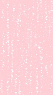 Sevgililer günü kalpleri, uçmak, düşmek, süzülmek. Beyaz kalpler pembe arka plana saçılmış. Sevimli sevgililer günü vektör illüstrasyonu.