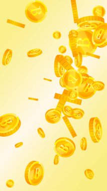 Bitcoin coins falling. Cryptocurrency scattered gold BTC coins. Internet currency. Jackpot wealth or success concept. Vector illustration.