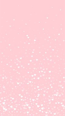 Düşen kalpler sevgililer günü kartı şablonu. Beyaz kalpler pembe arka plana saçılmış. Kaotik düşen kalpler vektör illüstrasyonu.