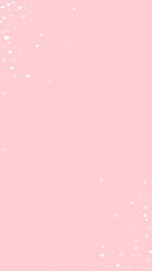 Düşen kalpler sevgililer günü kartı şablonu. Beyaz kalpler pembe arka plana saçılmış. Kaotik düşen kalpler vektör illüstrasyonu.